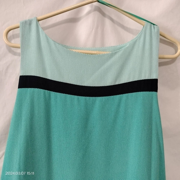 Signature by Robbie Bee size 10 lined Sleeveless Dress - Picture 4 of 11